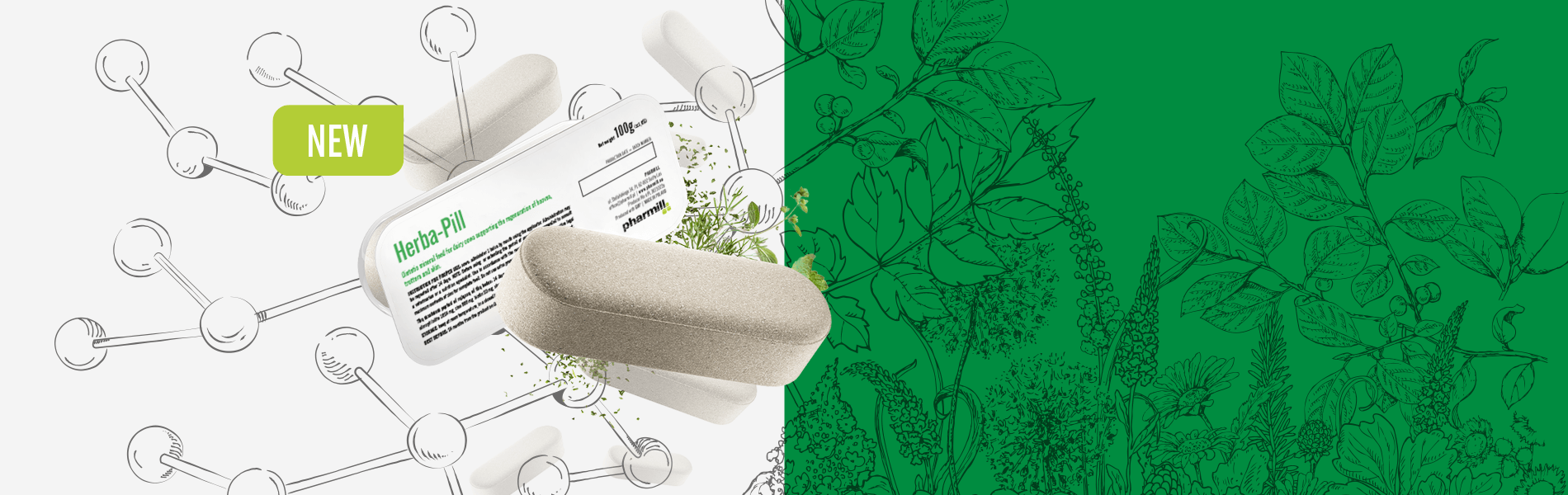 Khám phá Herba-Pill